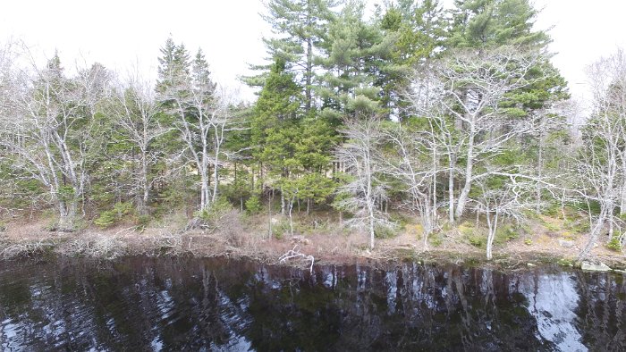 WentworthHalbinsel (77)